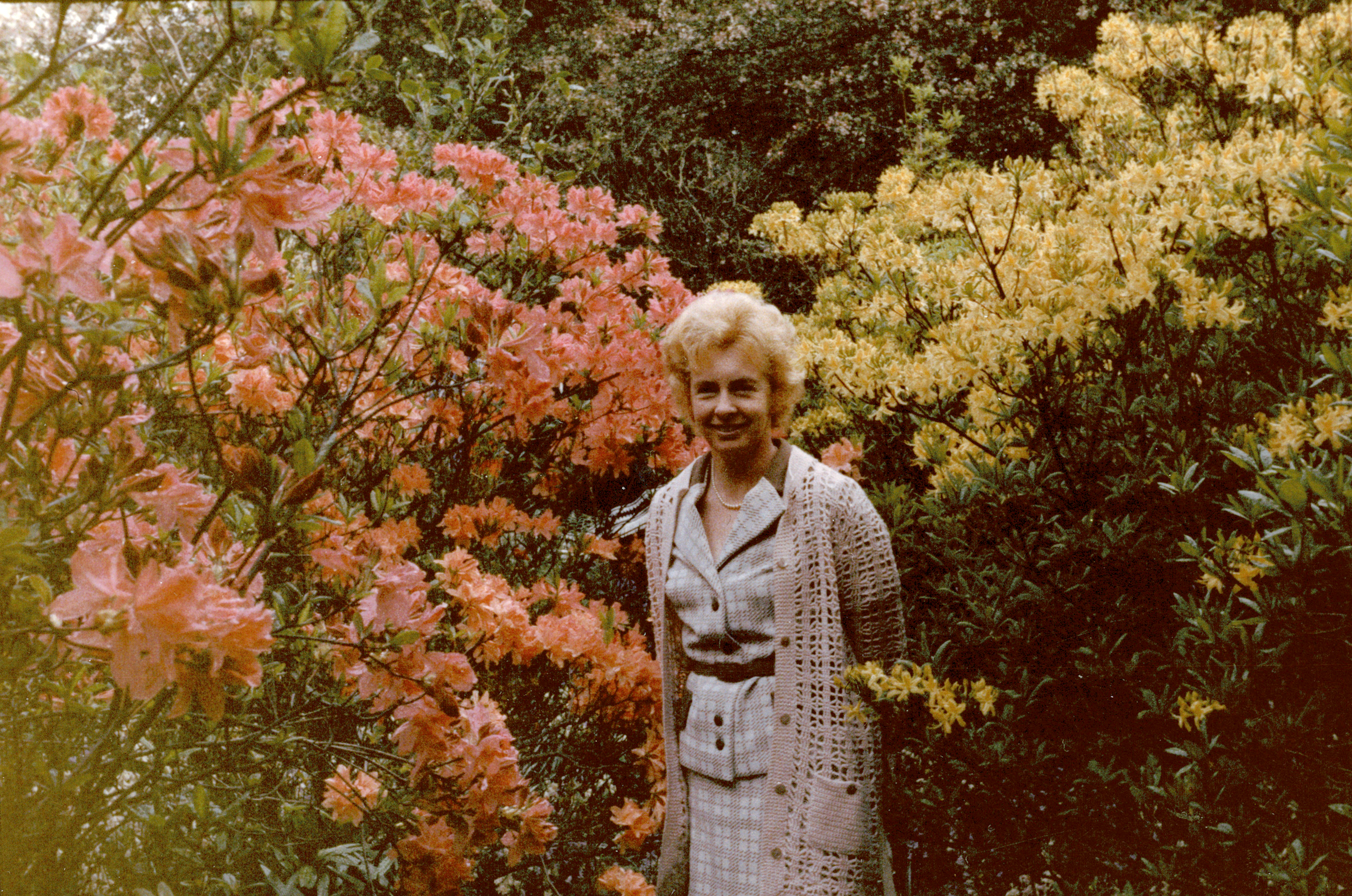 Anita Phillips